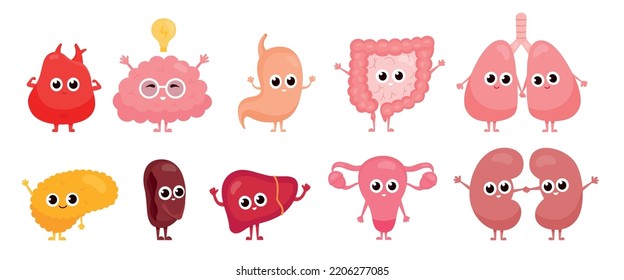 Internal organs characters. Cartoon healthy human organ cute comic characters, happy liver funny brain spleen stomach pancreas digestive system biology vector illustration of character anatomy human