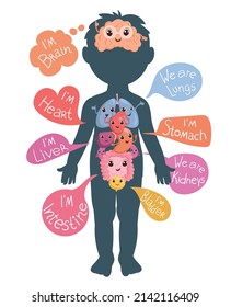 Internal organs in childish body. Human anatomy. Educational poster with funny characters. Medical infographics. Heart and lungs with speech bubbles. Physiology diagram