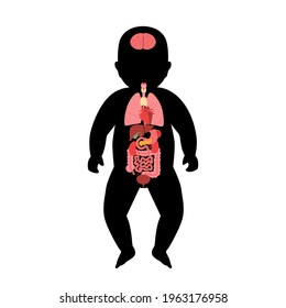 Internal organs in childr body. Infant anatomy. Brain, stomach, heart, kidney, medical icon in newborn silhouette. Digestive, respiratory, cardiovascular systems. Anatomical poster vector illustration