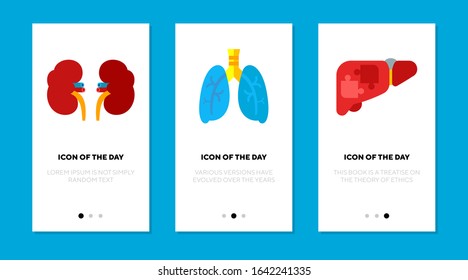 Internal organs flat icon set. Lungs, vessels, liver, kidney isolated sign pack. Anatomy, human body, science, medicine concept. Vector illustration symbol elements for web design