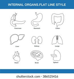 internal organs flat line style in vector format eps10
