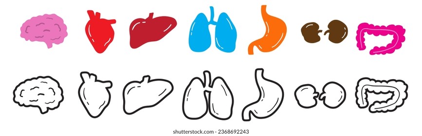 Internal organs. Flat and outline icons. Medical concept. Vector illustration on white background.