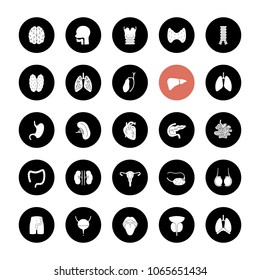Internal organs glyph icons set. Respiratory, urinary, reproductive, digestive systems. Vector white silhouettes illustrations in black circles