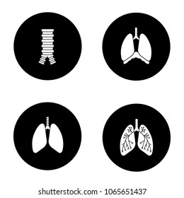 Internal organs glyph icons set. Respiratory system. Trachea, lungs, bronchi, bronchioles, thoracic cavity, diaphragm. Vector white silhouettes illustrations in black circles