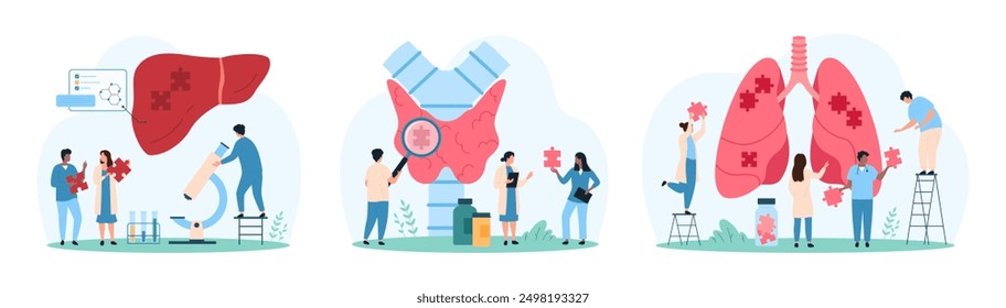 Internal organs health care, awareness and protection set. Tiny people holding puzzle piece to connect into healthy human lungs and liver and protect, examine thyroid gland cartoon vector illustration