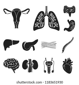 Internal organs of a human black icons in set collection for design. Anatomy and medicine vector symbol stock web illustration.