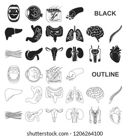 Internal organs of a human black icons in set collection for design. Anatomy and medicine vector symbol stock web illustration.