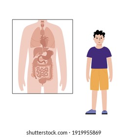 Internal organs in human body anatomical poster and young boy character next to it. Stomach, heart, kidney and other organs icon. Digestive, respiratory, cardiovascular systems vector illustration