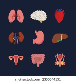 Internal organs. Human body anatomy organ icons, cartoon lungs and heart, urinary system and liver, reproductive function and brain, illustration