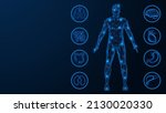 Internal organs. The human body. Polygonal design. Blue background.