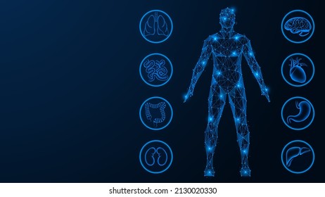Internal organs. The human body. Polygonal design. Blue background. - Shutterstock ID 2130020330
