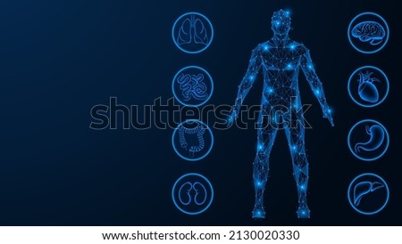 Internal organs. The human body. Polygonal design. Blue background.