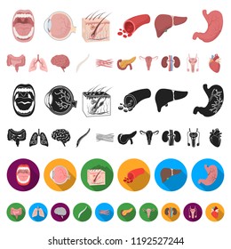 Internal organs of a human cartoon icons in set collection for design. Anatomy and medicine vector symbol stock web illustration.
