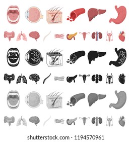 Internal organs of a human cartoon icons in set collection for design. Anatomy and medicine vector symbol stock web illustration.