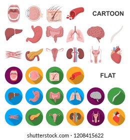 Internal organs of a human cartoon icons in set collection for design. Anatomy and medicine vector symbol stock web illustration.