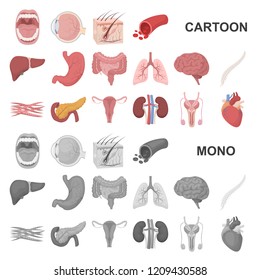 Internal organs of a human cartoon icons in set collection for design. Anatomy and medicine vector symbol stock web illustration.