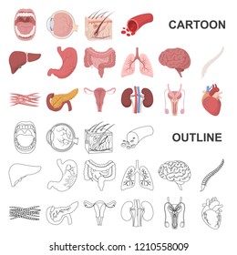 Internal organs of a human cartoon icons in set collection for design. Anatomy and medicine vector symbol stock web illustration.