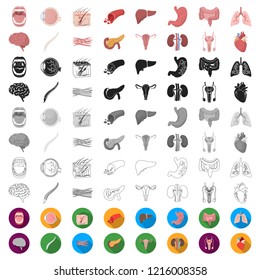 Internal organs of a human cartoon icons in set collection for design. Anatomy and medicine vector symbol stock web illustration.