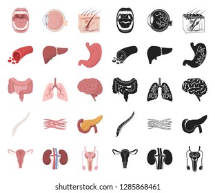 Internal organs of a human cartoon,black icons in set collection for design. Anatomy and medicine vector symbol stock web illustration.