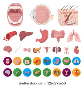 Internal organs of a human cartoon,flat icons in set collection for design. Anatomy and medicine vector symbol stock web illustration.