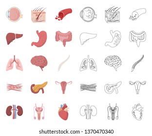 Internal organs of a human cartoon,outline icons in set collection for design. Anatomy and medicine vector symbol stock web illustration.
