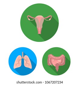 Internal organs of a human flat icons in set collection for design. Anatomy and medicine vector symbol stock web illustration.
