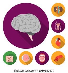 Internal organs of a human flat icons in set collection for design. Anatomy and medicine vector symbol stock web illustration.