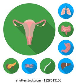 Internal organs of a human flat icons in set collection for design. Anatomy and medicine vector symbol stock web illustration.