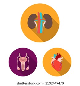 Internal organs of a human flat icons in set collection for design. Anatomy and medicine vector symbol stock web illustration.