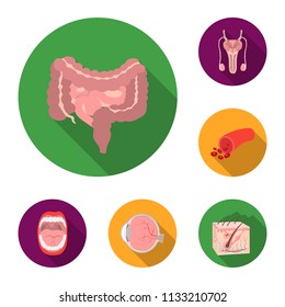Internal organs of a human flat icons in set collection for design. Anatomy and medicine vector symbol stock web illustration.