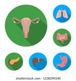 Internal organs of a human flat icons in set collection for design. Anatomy and medicine vector symbol stock web illustration.