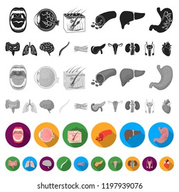 Internal organs of a human flat icons in set collection for design. Anatomy and medicine vector symbol stock web illustration.