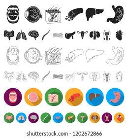 Internal organs of a human flat icons in set collection for design. Anatomy and medicine vector symbol stock web illustration.