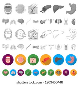 Internal organs of a human flat icons in set collection for design. Anatomy and medicine vector symbol stock web illustration.