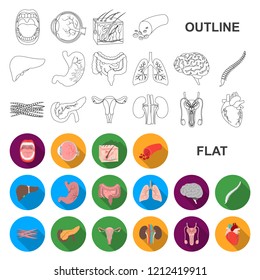 Internal organs of a human flat icons in set collection for design. Anatomy and medicine vector symbol stock web illustration.