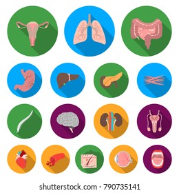 Internal organs of a human flat icons in set collection for design. Anatomy and medicine vector symbol stock web illustration.