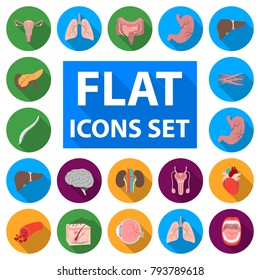 Internal organs of a human flat icons in set collection for design. Anatomy and medicine vector symbol stock web illustration.