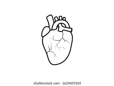 Órganos internos del ser humano, icono del corazón, corazón sano, ilustración vectorial de dibujos animados