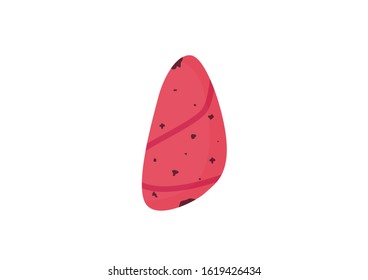 Internal organs of the human, Lungs icon, Health care, Lung cancer problem, Cartoon vector illustration