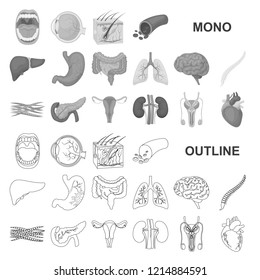 Internal organs of a human monochrom icons in set collection for design. Anatomy and medicine vector symbol stock web illustration.