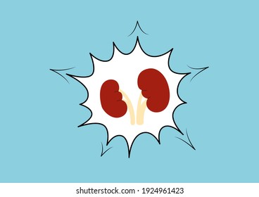 Órganos internos del ser humano sobre fondo azul, Anatomía de riñones, Icono de riñones, Símbolo de órganos, Ilustración vectorial de dibujos animados.