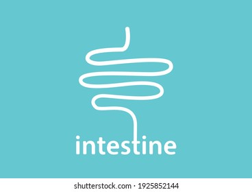 Internal organs of the human on blue background, Small and large intestine anatomy, Small and large intestine icon, Organs symbol, Cartoon vector illustration.