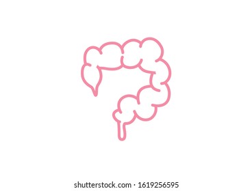 Internal organs of the human on white background, Intestine anatomy, Intestine icon, Organs symbol, Cartoon vector illustration