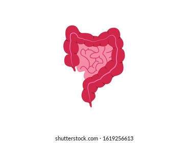 Internal organs of the human on white background, Small and large intestine anatomy, Small and large intestine icon, Organs symbol, Cartoon vector illustration