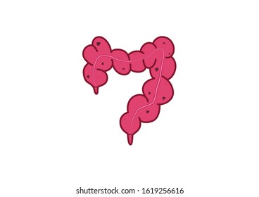 Internal organs of the human on white background, Virus and bacteria infected human intestine, Intestine anatomy, Intestine icon, Organs symbol, Cartoon vector illustration