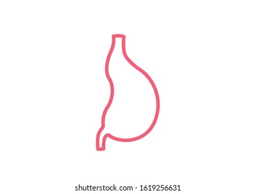 Internal organs of the human on white background, Stomach anatomy, Stomach icon, Organs symbol, Cartoon vector illustration