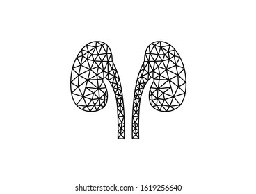 Internal organs of the human on white background, Human kidneys anatomy, Low-poly geometry and lines of human kidneys, Kidneys icon, Organs symbol, Health care, Cartoon vector illustration