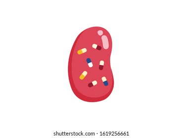 Internal organs of the human on white background, Pills in the kidneys, Kidneys anatomy, Kidneys icon, Organs symbol, Cartoon vector illustration