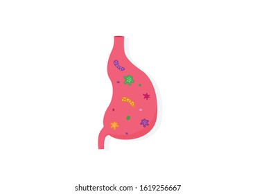 Internal organs of the human on white background, Virus and bacteria in stomach, Stomach anatomy, Stomach icon, Organs symbol, Cartoon vector illustration