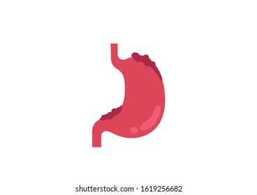 Internal organs of the human on white background, Stomach cancer, Stomach anatomy, Stomach icon, Organs symbol, Cartoon vector illustration